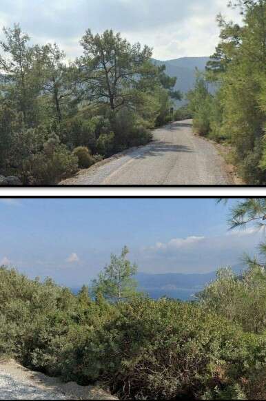 Bodrum’a 2,7 Milyar Tl’lik Dev Turizm Yatırımı: Çed Süreci Başladı 6